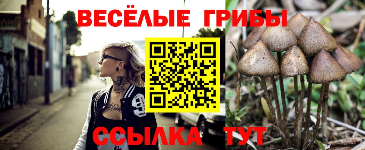 Галлюциногенные грибы ЛСД Усть-Джегута
