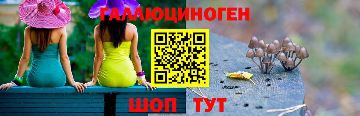 Псилоцибиновые грибы ЛСД  Вход с VPN  Усть-Джегута 